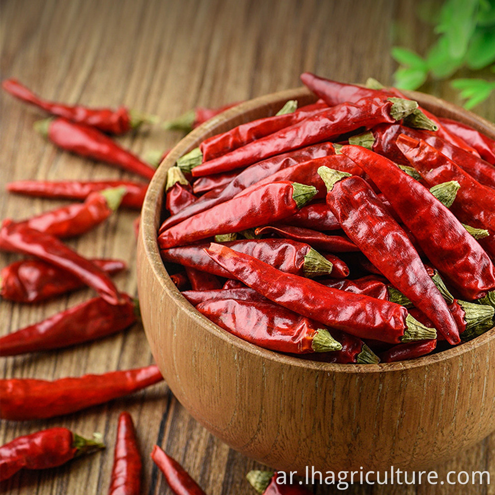 High Spicy Millet Pepper Spice